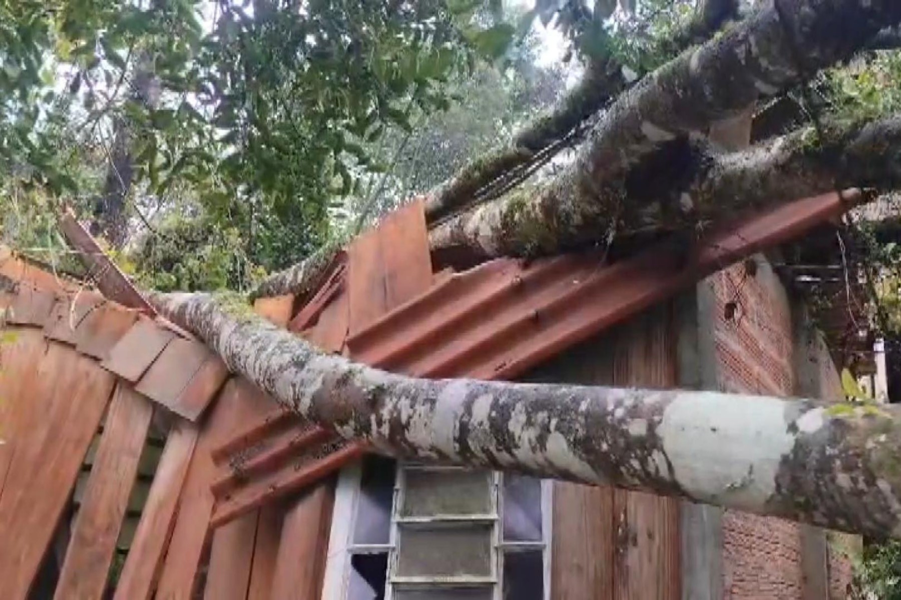 Temporal causa alagamentos e queda de árvores em Curitiba e região