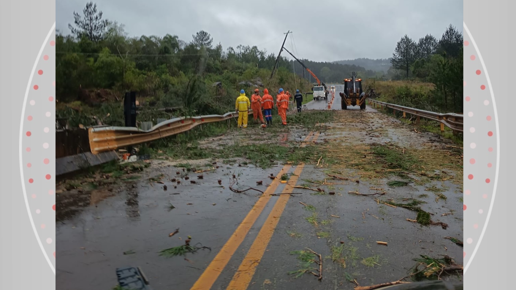 Vendaval derruba árvore sobre caminhonete na PR-459 e causa estragos no Paraná