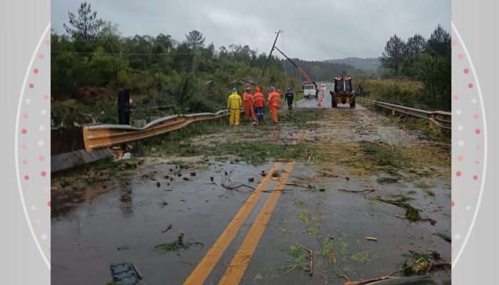 Vendaval derruba árvore sobre caminhonete na PR-459 e causa estragos no Paraná