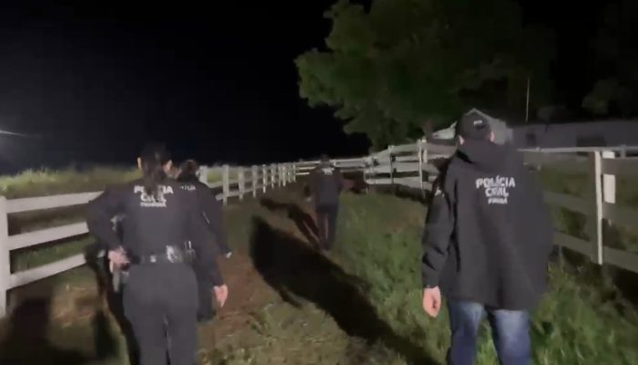 Operação policial desarticula quadrilha suspeita de furtar 2 mil bois no Paraná