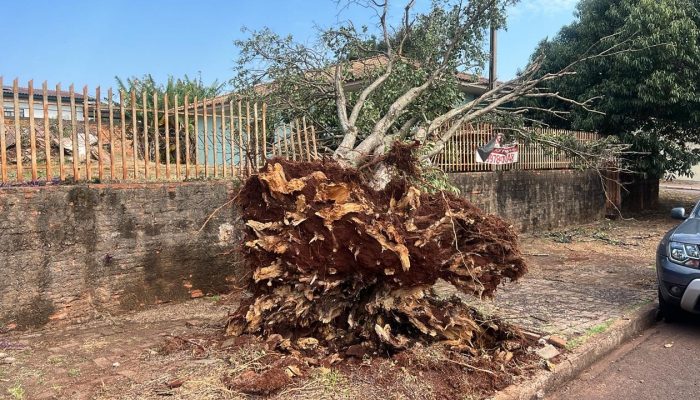 Temporais atingem cidades paranaenses com destelhamentos, granizo e feridos